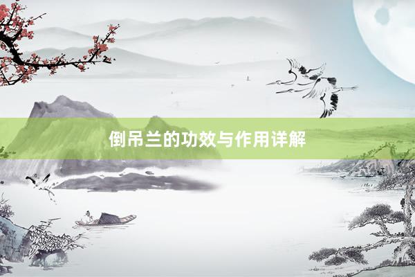 倒吊兰的功效与作用详解