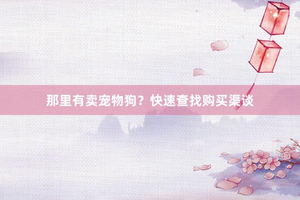 那里有卖宠物狗？快速查找购买渠谈
