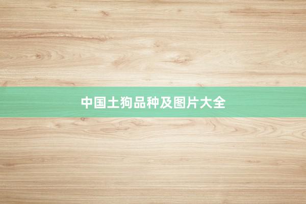 中国土狗品种及图片大全