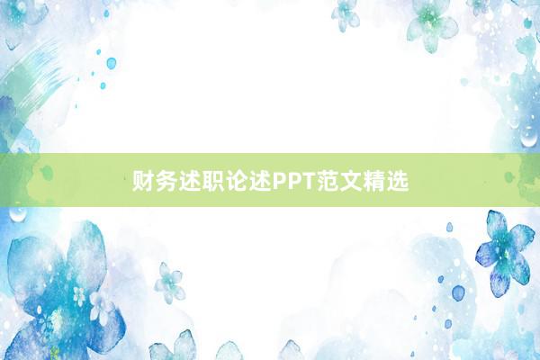 财务述职论述PPT范文精选